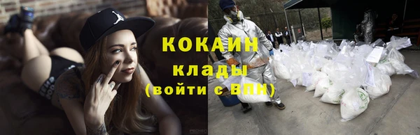 стаф Бежецк