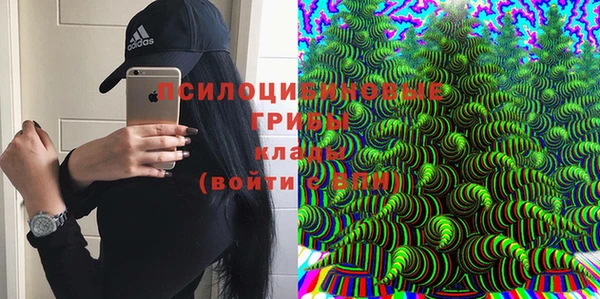 стаф Бежецк