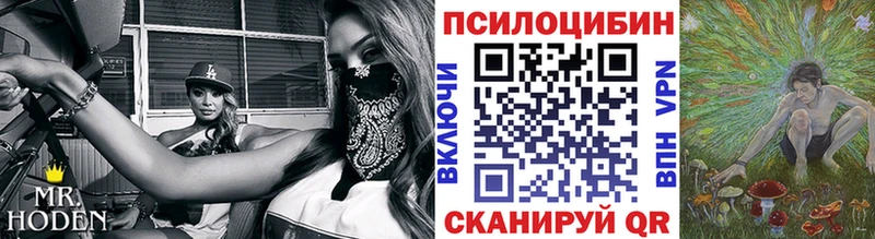 купить наркоту  Невельск  blacksprut tor  Псилоцибиновые грибы MAGIC MUSHROOMS 