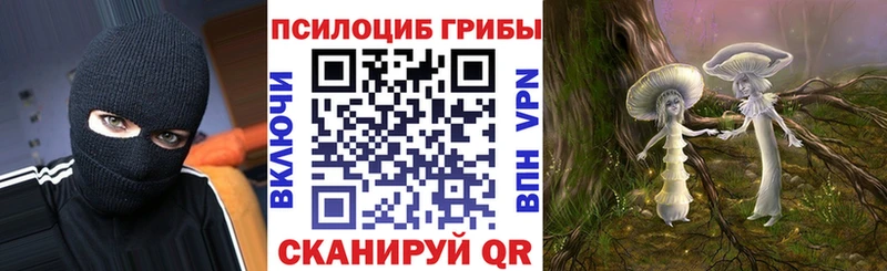 Псилоцибиновые грибы Psilocybe Невельск